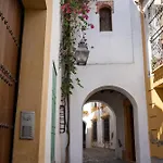 Patio De La Hoguera