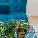 Apartamentos Centro Sandoval