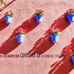 Apartamento Flor De Cordoba