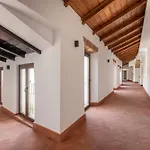Líbere Córdoba Patio Santa Marta