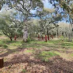 El Lagar De Val Raigon