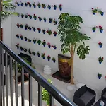 Casa Patio Las Palmeras Cordoba Con Piscina