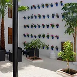 Casa Patio Las Palmeras Cordoba Con Piscina