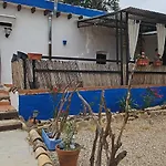 Experience Alpacas In Andalucia