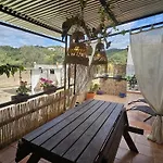 Experience Alpacas In Andalucia