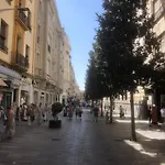 Apartamento En El Centro Totalmente Climatizado, Parking Gratuito