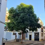 Terraza De La Axerquia