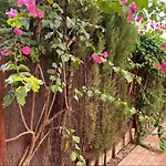 Arruzafa Home