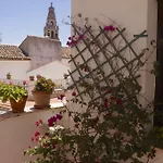 Penthouse Puerta De La Juderia