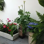 Patio San Lorenzo