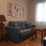 Apartamento Patio De San Lorenzo Vft/Co/00990