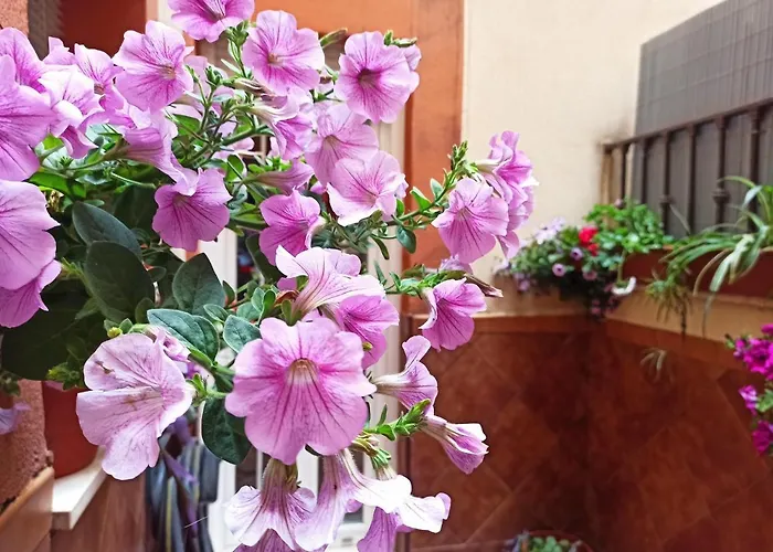 Apartamento la Reina