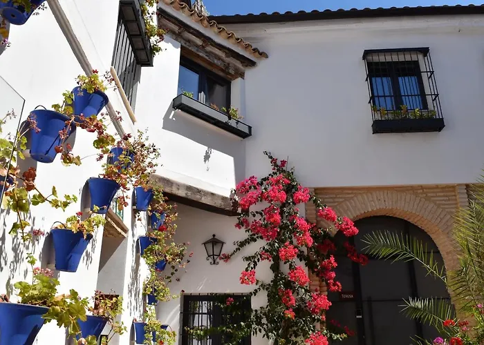Patio San Andrés