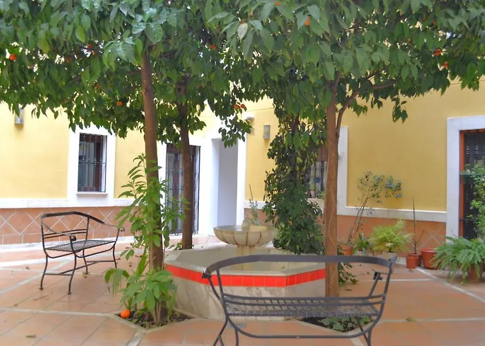 Sunshine Patio Del Consistorio