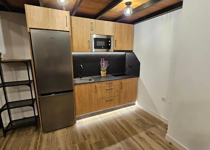 Loft Puerta Almodovar