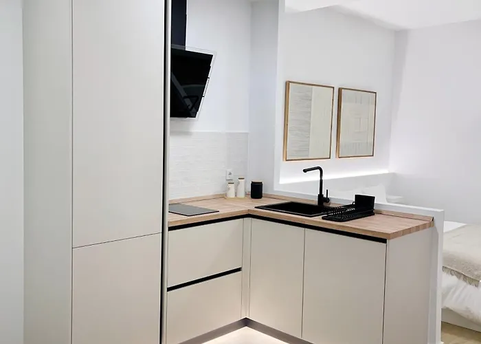 Loft Apartamento Carlos III L1A