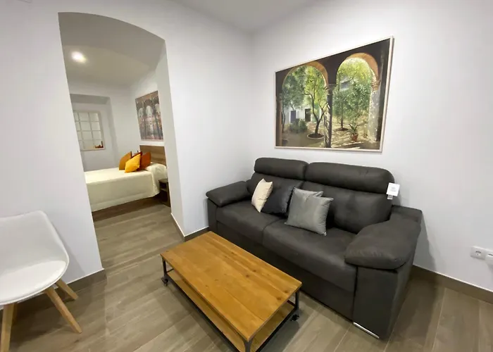 Suites Del Mar Y Suite De Cordoba - Apartmentos En Pleno Centro