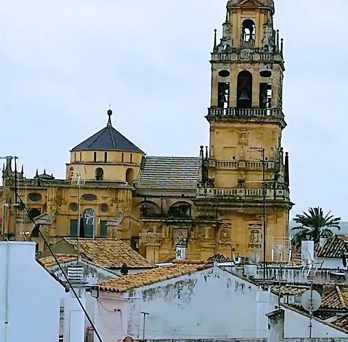 A Escasos Metros De La Mezquita