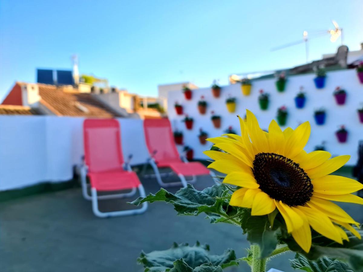 Hostal Funky By Arc House Cordoba