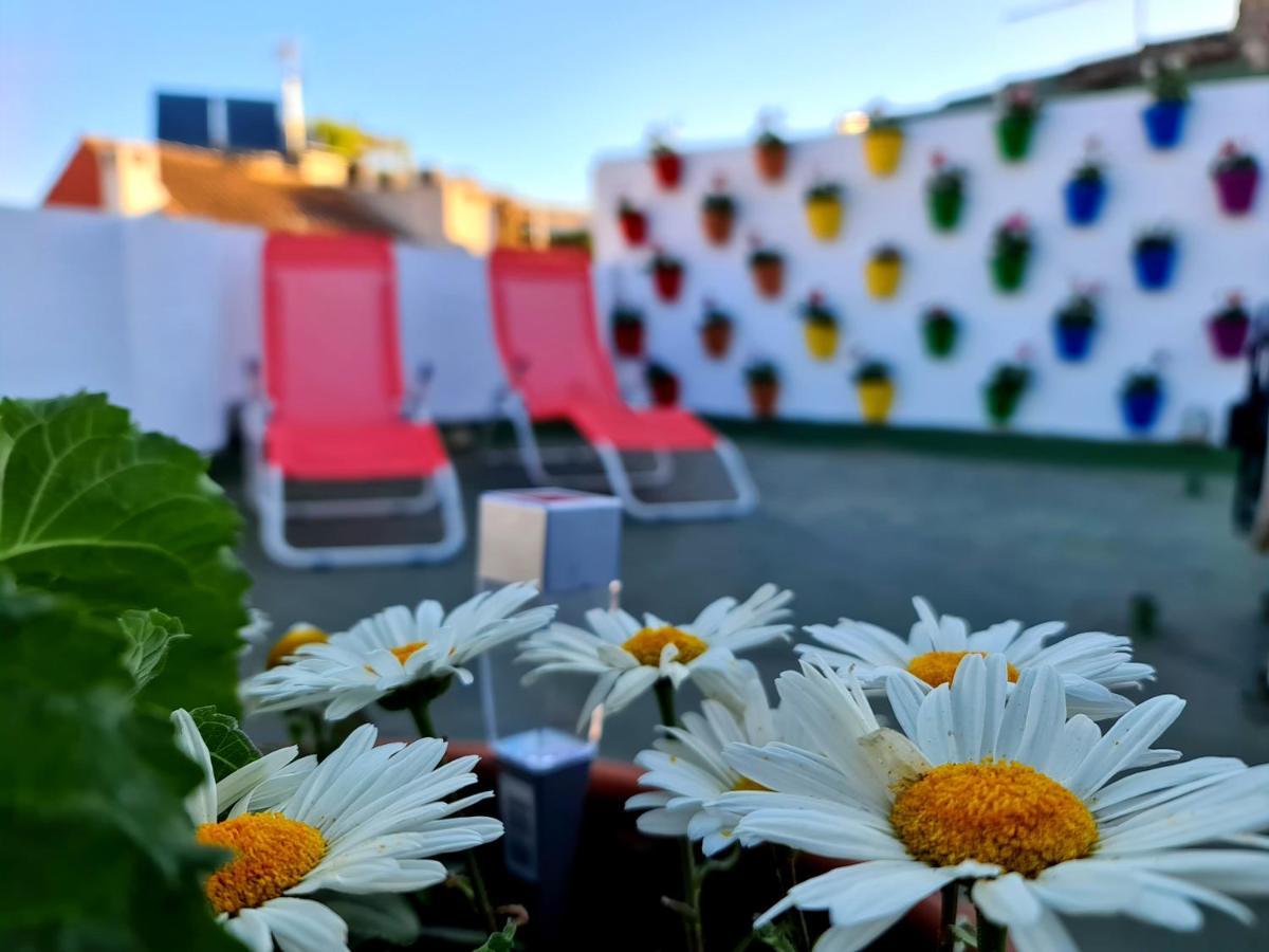 Hostal Funky By Arc House Guest house 2*