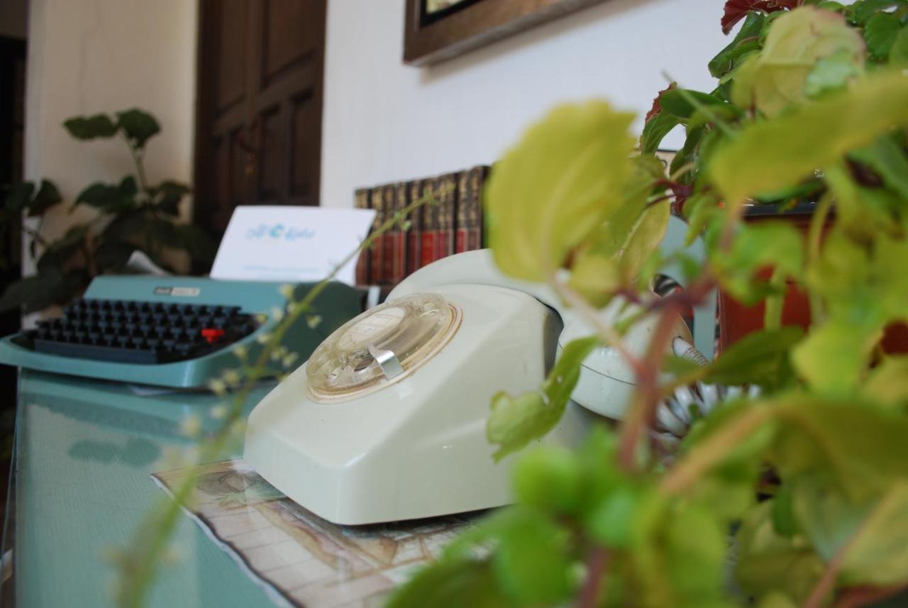 Backpacker Al-katre Bed and breakfast