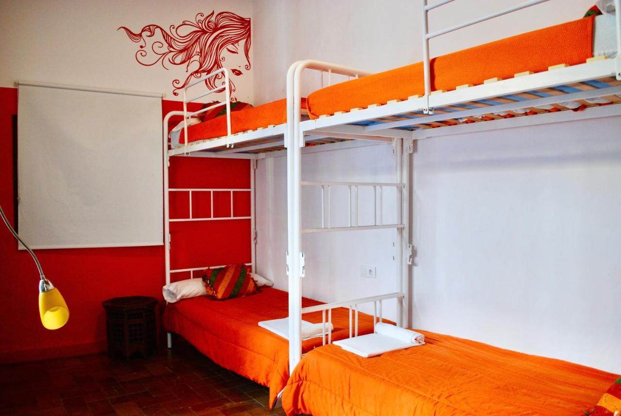 Backpacker Al-katre Bed and breakfast *
