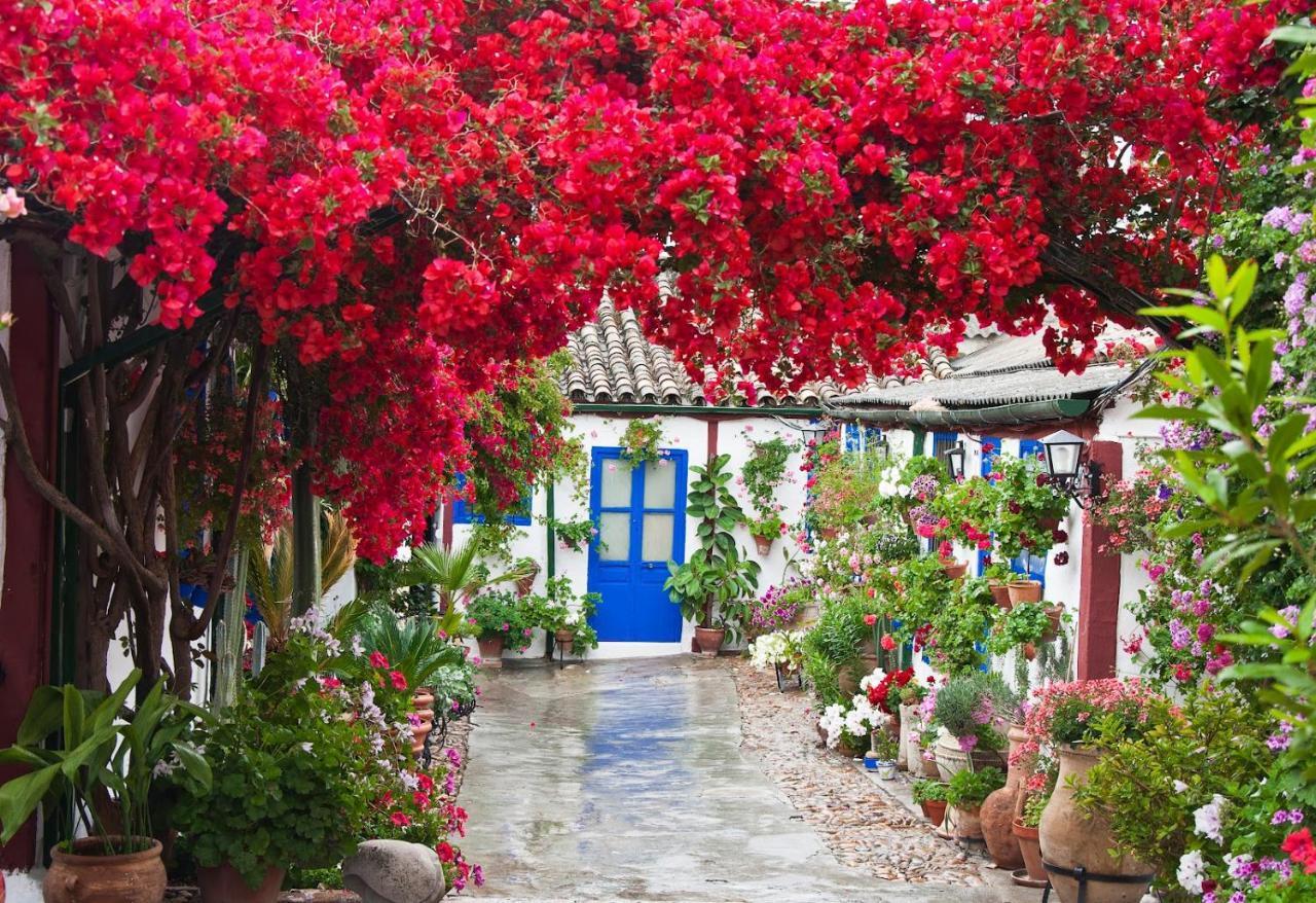 Apartamento Casa Turística San Agustín