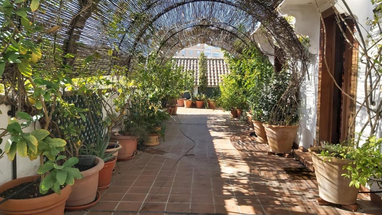 El Jardín De Wallada Apartamento