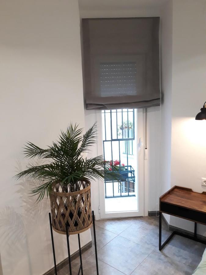 Pleno Centro Wallada Apartamento *