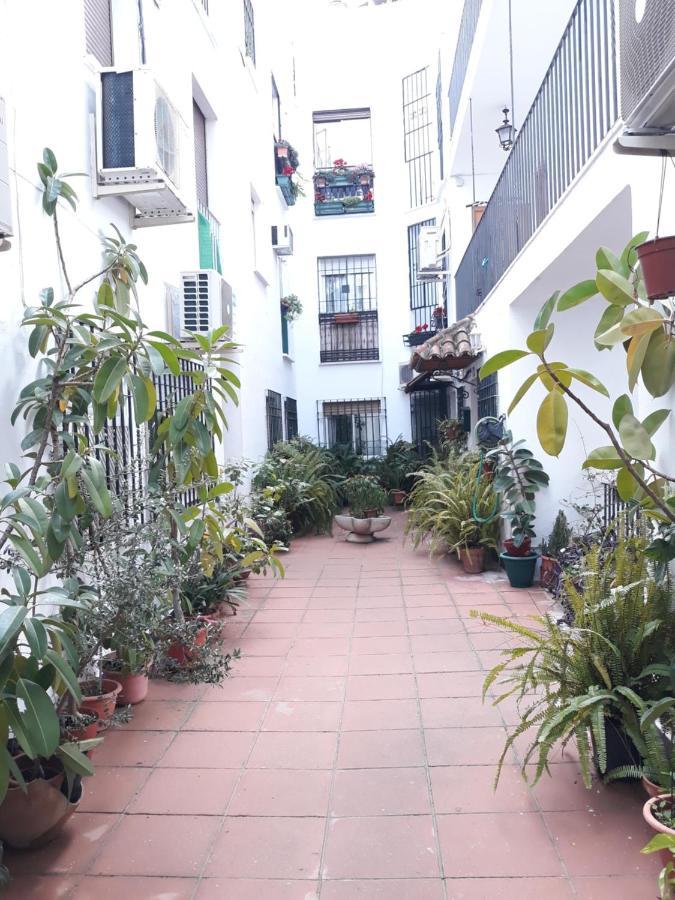 Pleno Centro Wallada