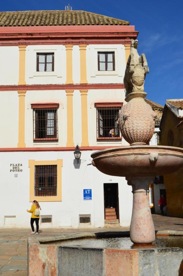 Con Encanto En Casa De Patio * Córdoba