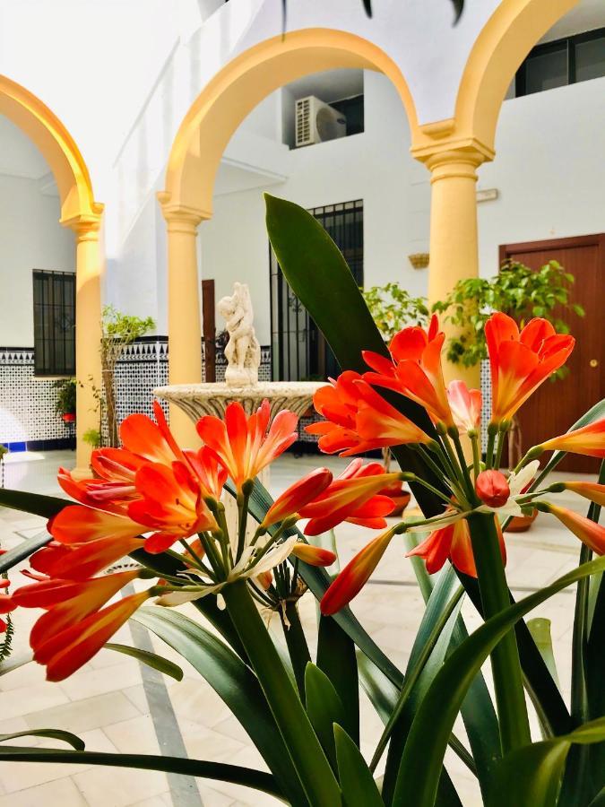 Apartamento Fabuloso Loft En Centro Histórico De Córdoba. Tendillas-mezquita-catedral. *