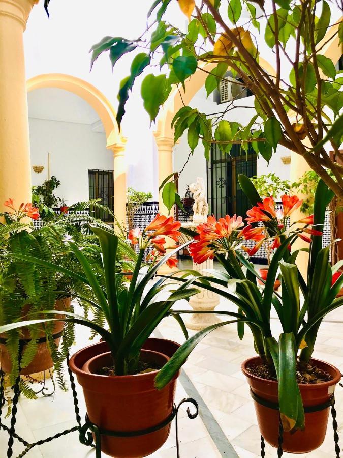 Fabuloso Loft En Centro Histórico De Córdoba. Tendillas-mezquita-catedral. Apartamento *