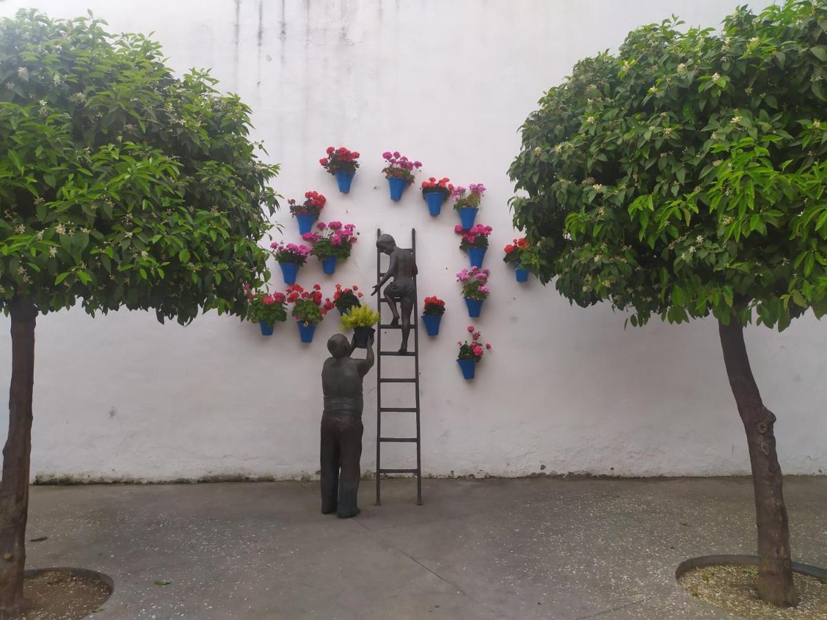 Patios De * Córdoba