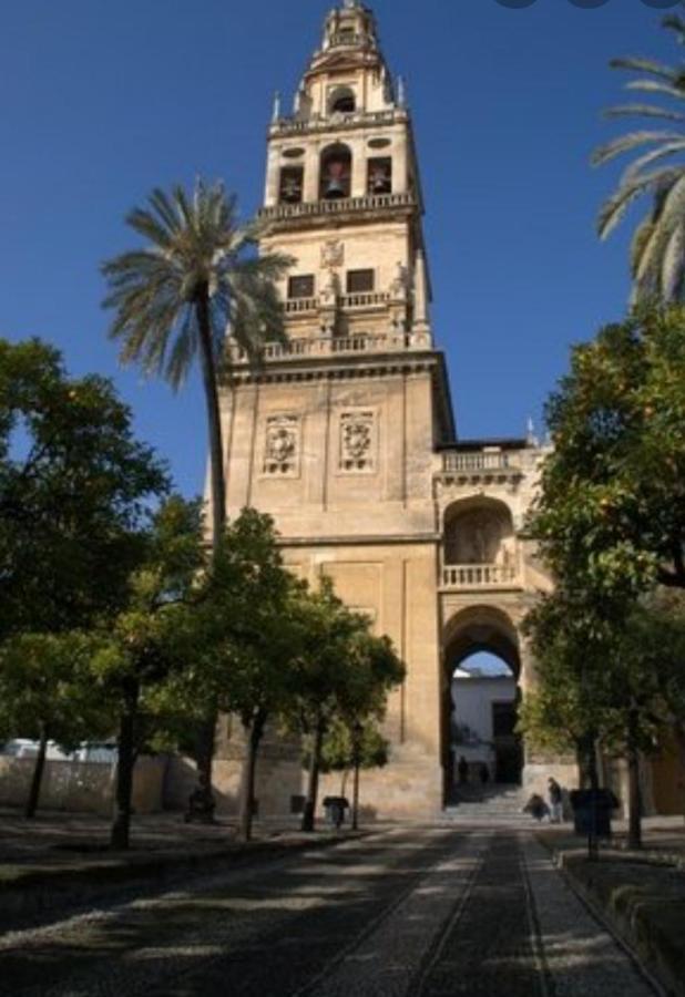Vft Califal Apartamento Córdoba