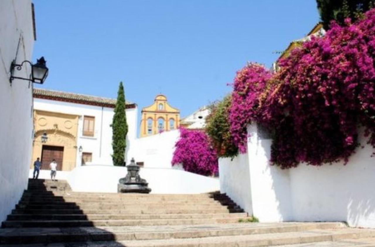 Apartamento Flor De Naranjo *