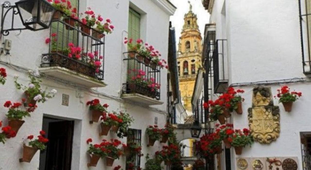 Flor De Naranjo