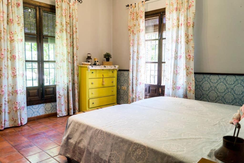 Casa Andaluza Albahaca * Cordoba