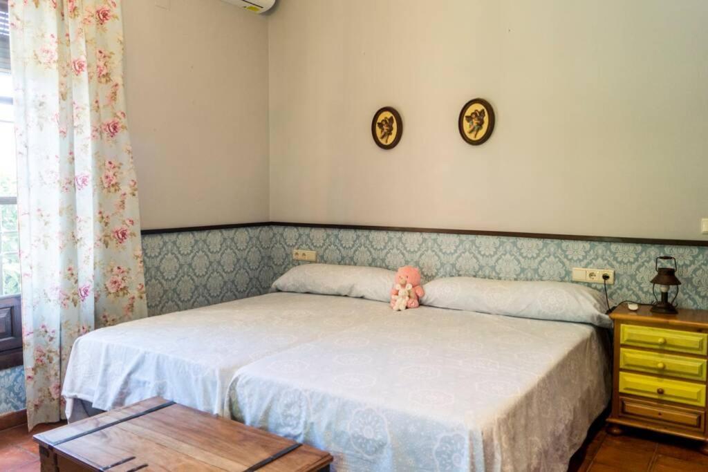 Casa Andaluza Albahaca Cordoba