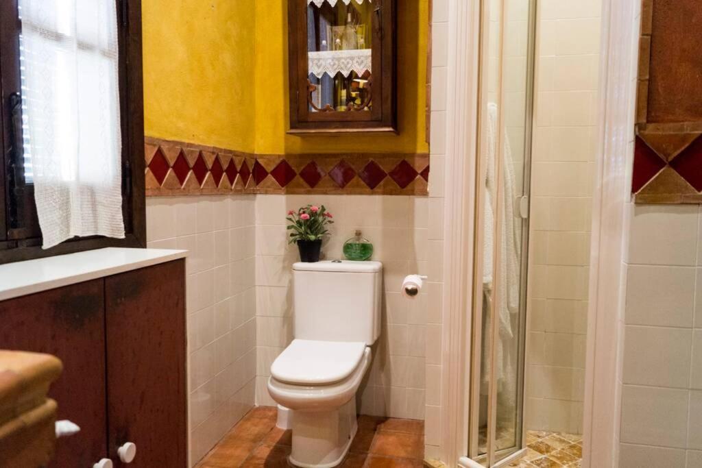 Casa Andaluza Albahaca Cordoba