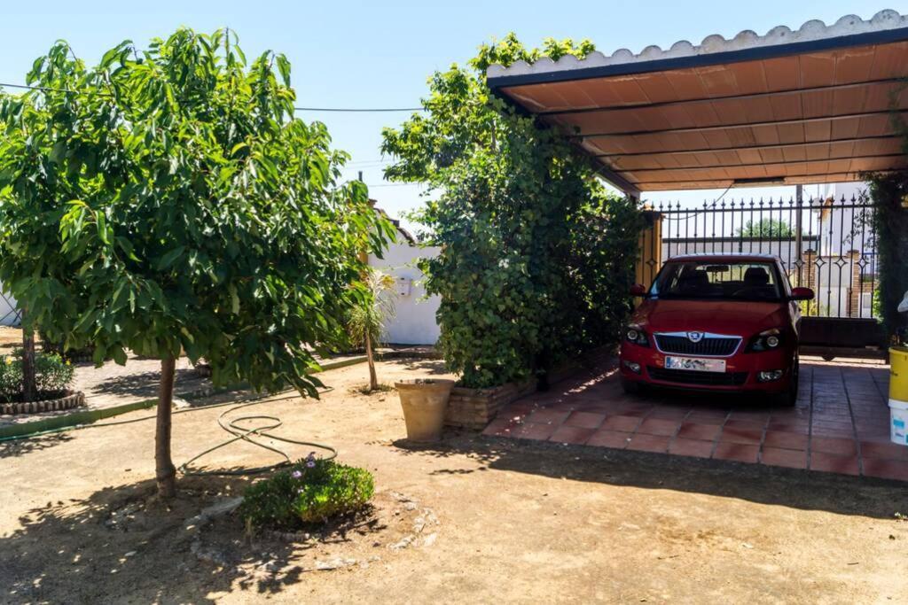 Casa Andaluza Albahaca