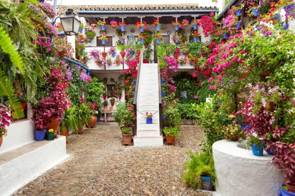 Apartamento Al-zhára, Junto Puente Romano
