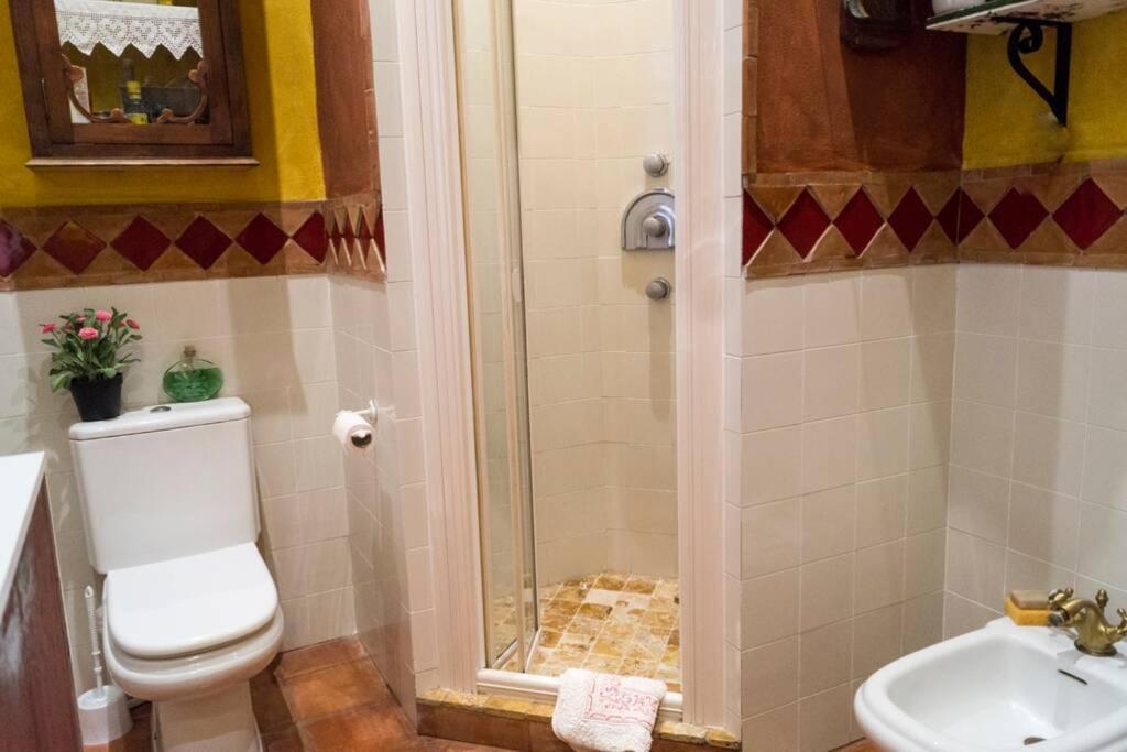 Casa Andaluza Albahaca * Cordoba