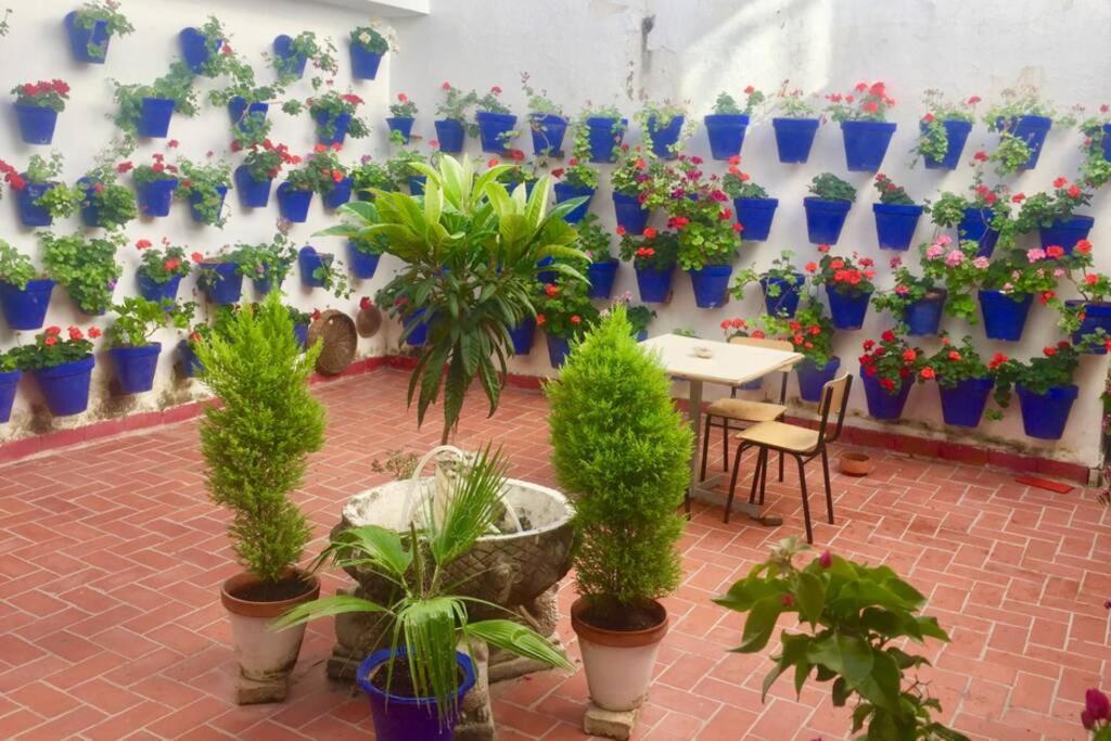 Apartamento Toril-casco Histórico *