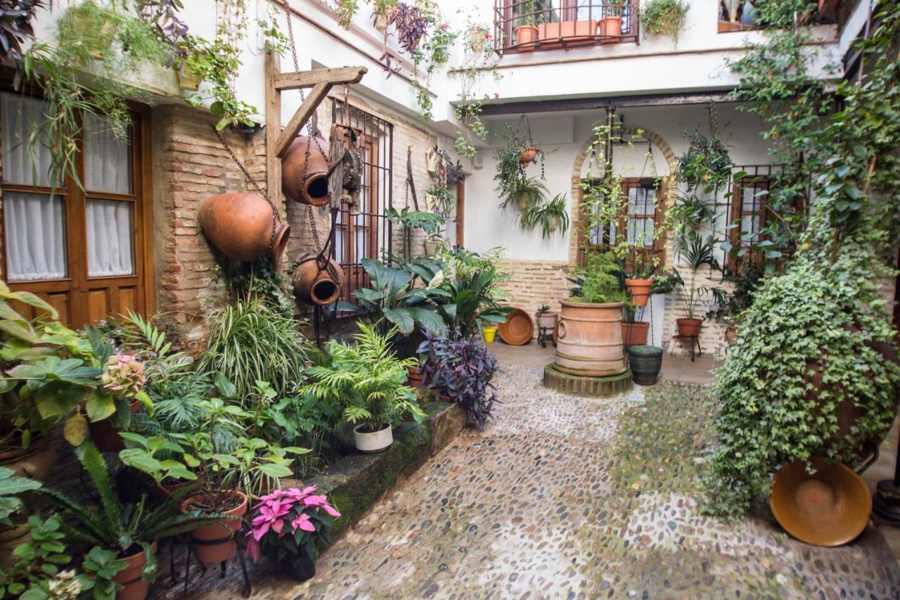 Apartment La Sultana