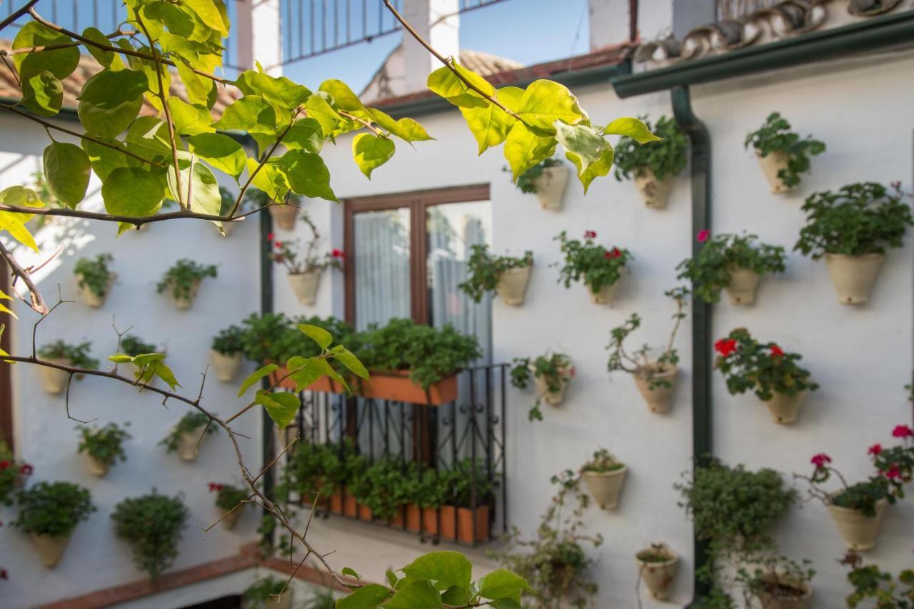 Apartment La Sultana