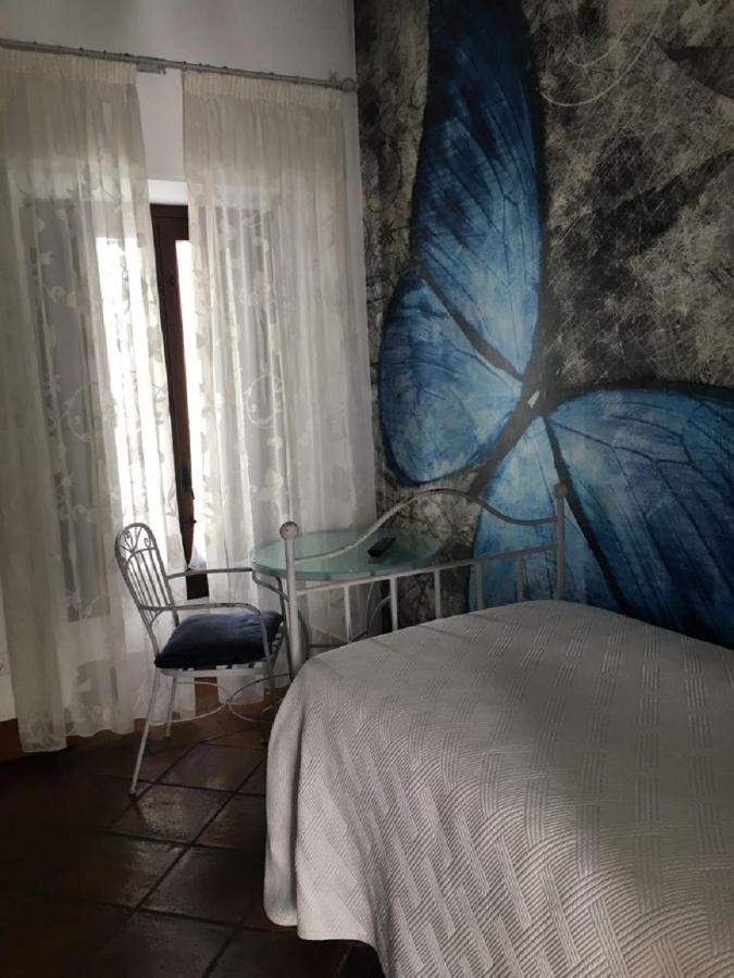 Casa De Naranjos