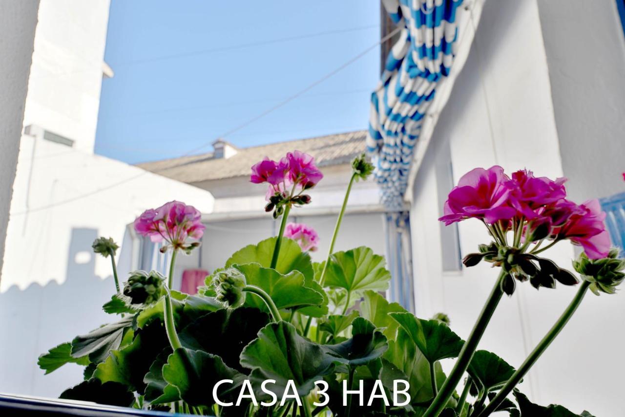 Apartamento Casas Caballerizas Mezquita 1 Y 3 Hab *