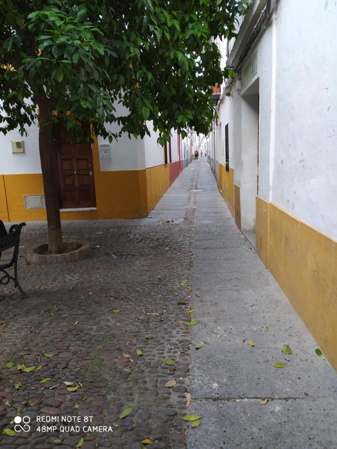 Apartamento Casa Típica De *