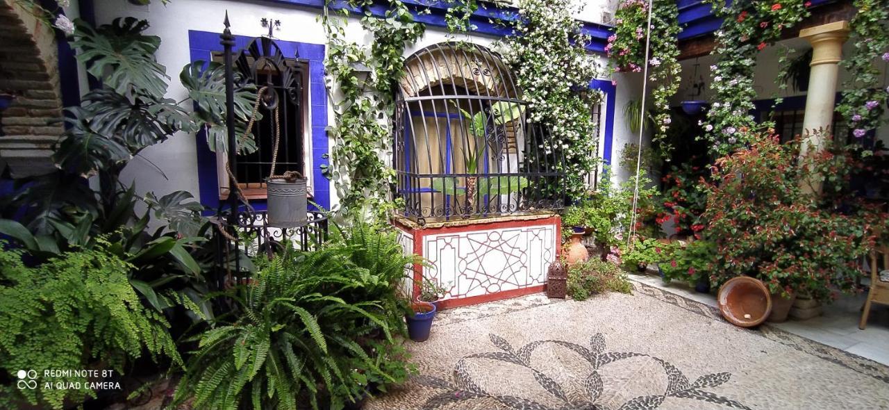Apartamento Casa Típica De *